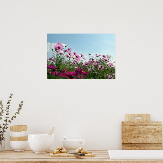 Japanische Kosmos-Blume Poster (Küche)