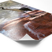 Japanische Krane "Langlebigkeit" Fotodruck (Ecke)