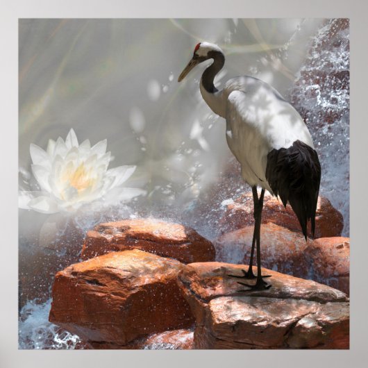 Japanische Krane "Langlebigkeit" Poster (Vorne)