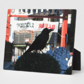 Japanische Kruge Fotoplatte (Seite)