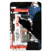 Japanische Kruge Magnet (Vertikal)