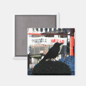 Japanische Kruge Magnet (Vorderseite/Rückseite)