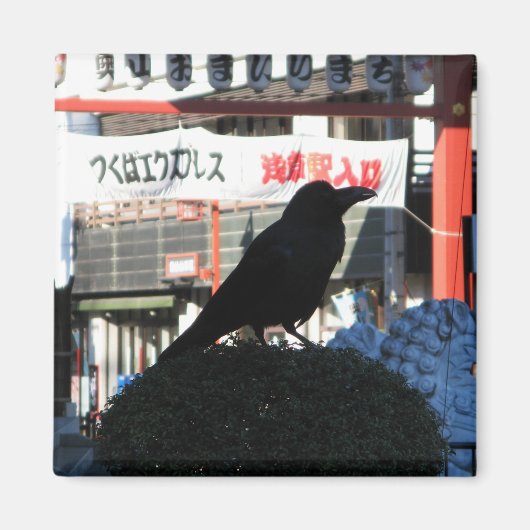 Japanische Kruge Magnet (Vorne)