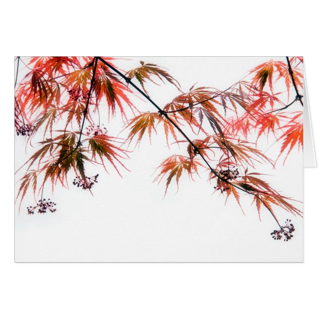 Japanische Kunstfotografie (Vorderseite (Horizontal))