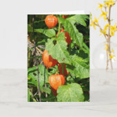 Japanische Lanterns Grußkarte (innen leer) Karte (Gelbe Blume)