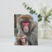 Japanische Macaque Affen Postkarte (Stehend Vorderseite)