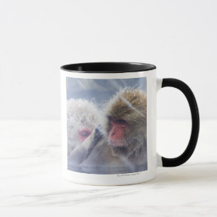 Japanische Macaques (Macaca fuscata) herein Tasse