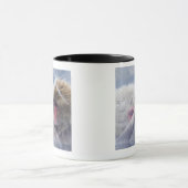 Japanische Macaques (Macaca fuscata) herein Tasse (Zentrum)