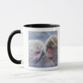 Japanische Macaques (Macaca fuscata) herein Tasse (Links)