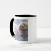 Japanische Macaques (Macaca fuscata) herein Tasse (Vorderseite Links)