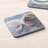 Japanische Macaques (Macaca fuscata) herein Untersetzer (Linke Seite)