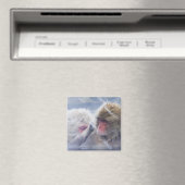 Japanische Macaques (Macaca fuscata) Magnet (In Situ (Geschirrspüler))