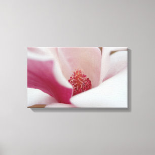 japanische Magnolia-Leinwand Leinwanddruck