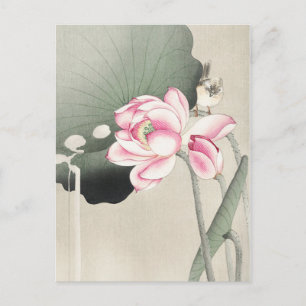 Japanische Malerei von Ohara Koson, vintage 小原古邨の日 Postkarte