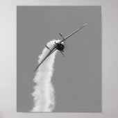 Japanische Marine Aichi D3A Tauchbomber Poster (Vorne)