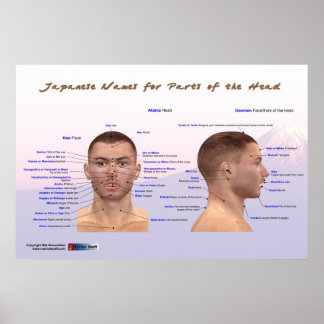 Japanische Namen für Teile des Kopfes Poster