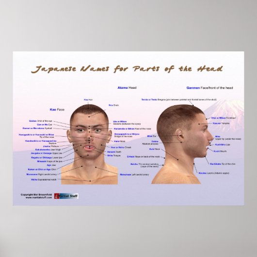 Japanische Namen für Teile des Kopfes Poster (Vorne)