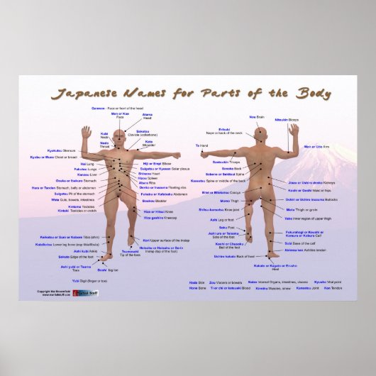 Japanische Namen für Teile des Körpers Poster (Vorne)