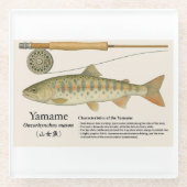 Japanische native Forelle – Yamame Glasuntersetzer (Vorderseite)