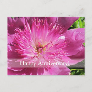 Japanische Peony Happy Anniversary Postcard Postkarte