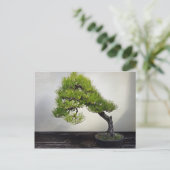 Japanische Pine Bonsai Postkarte (Stehend Vorderseite)