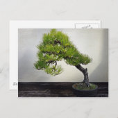 Japanische Pine Bonsai Postkarte (Vorne/Hinten)