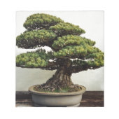Japanische Pine Bonsai Tree Notizblock (Vorderseite)