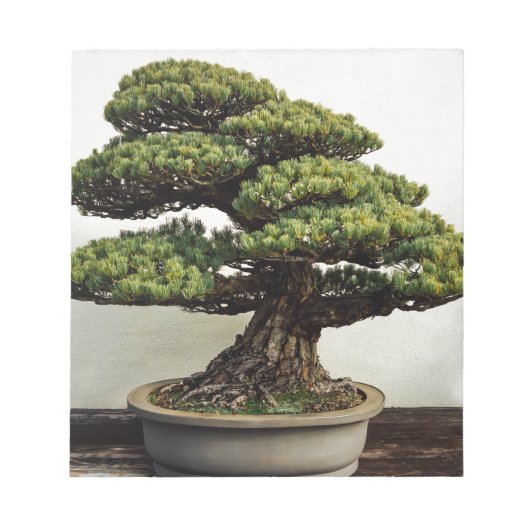 Japanische Pine Bonsai Tree Notizblock (Vorderseite)