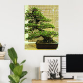 Japanische Pine Bonsai Tree Poster (Heimbüro)