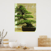Japanische Pine Bonsai Tree Poster (Küche)
