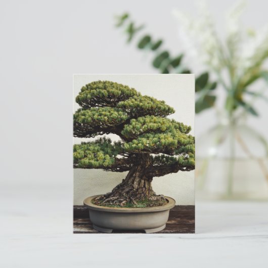 Japanische Pine Bonsai Tree Postkarte (Stehend Vorderseite)