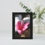 Japanische Postkarte Magnolia (Stehend Vorderseite)