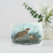 Japanische Quail Vintag Bird-Illustration Postkarte (Stehend Vorderseite)