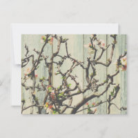 Japanische Quince