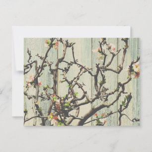 Japanische Quince Postkarte