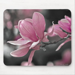 Japanische Rosa-Teller-Magnolie Mousepad