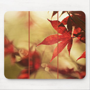 Japanische rote Ahornblätter Herbst sanfter Glanz  Mousepad