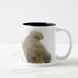 Japanische Schnee-Affejunge, die auf Schnee Zweifarbige Tasse