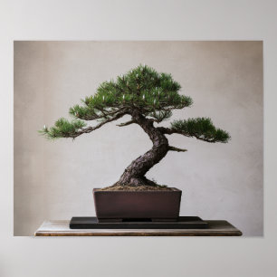 Japanische Schwarzkiefer-Bonsai Zen-Wandkunst Poster