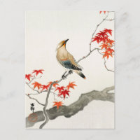 Japanische Seuchenvogel auf Ahorn von Ohara Koson