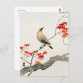 Japanische Seuchenvogel auf Ahorn von Ohara Koson Postkarte (Vorne/Hinten)
