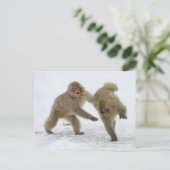 Japanische Snow-Monkey-Drehkreuze im Schnee Postkarte (Stehend Vorderseite)