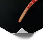 japanische Star Muschel Poster (Ecke)