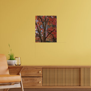 Japanische Stewartia Bunte Herbstblätter Poster