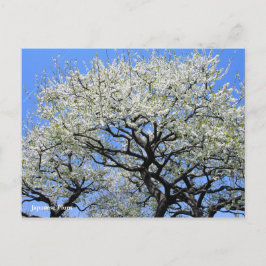 Japanische Summe [Postkarte] Postkarte