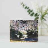 Japanische Vintage Kirschblüten Postkarte (Stehend Vorderseite)