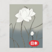Japanische Weiße Rose Postkarte (Vorderseite)