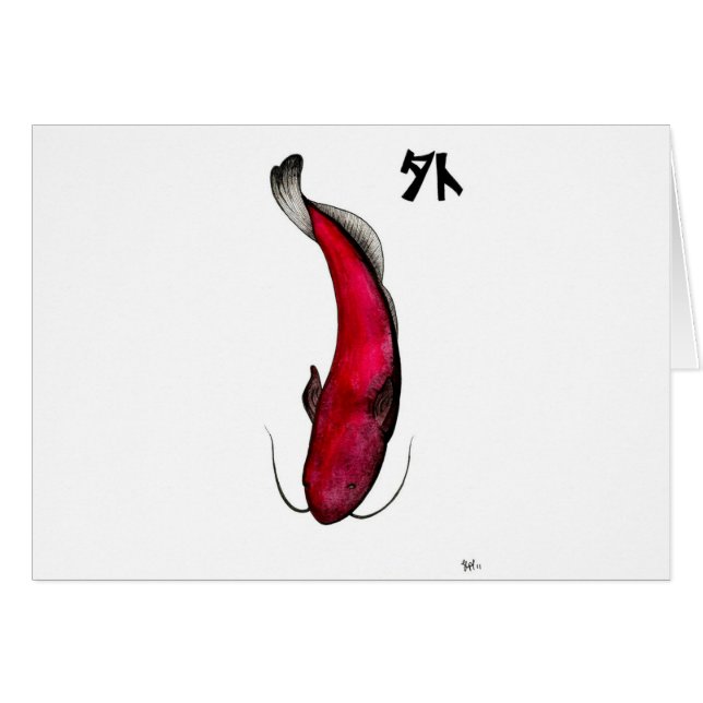 Japanische Wildkatfische (Vorderseite (Horizontal))