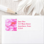 Japanische Wolken, Morgenröte, Orchideenrosa und K (Insitu)