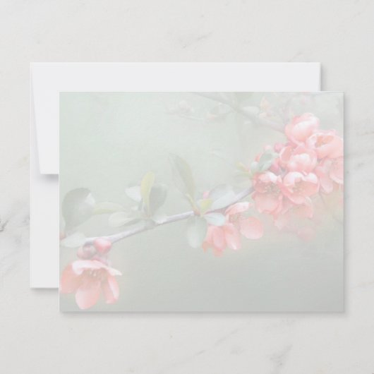 Japanische Zierstille mit Bibelzitat Karte (Rückseite)